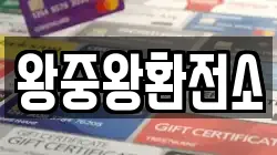 왕중왕환전소