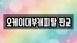 오케이대부캐피탈 판교