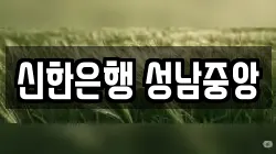 신한은행 성남중앙