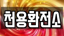 천용환전소