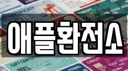 애플환전소