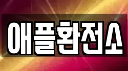 애플환전소