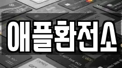 애플환전소