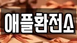 애플환전소