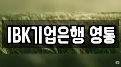 IBK기업은행 영통