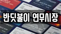 반딧불이 연무시장