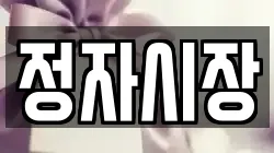 정자시장