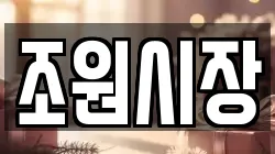 조원시장
