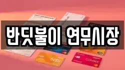 반딧불이 연무시장