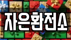 자은환전소