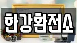 한강환전소