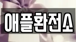 애플환전소