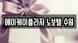 에이케이플라자 노보텔 수원