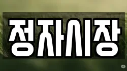 정자시장