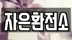 자은환전소