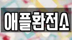 애플환전소