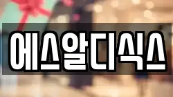 에스알디식스