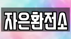 자은환전소