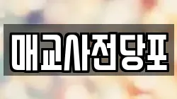 매교사전당포