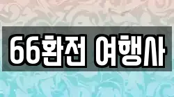 66환전 여행사