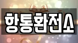 항통환전소