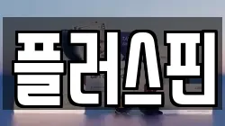 플러스핀
