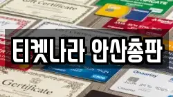 티켓나라 안산총판
