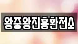 왕중왕진흥환전소