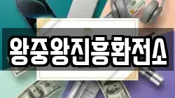왕중왕진흥환전소