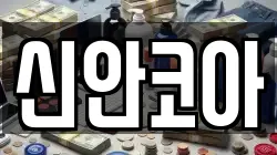 신안코아