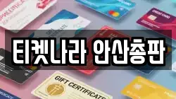 티켓나라 안산총판
