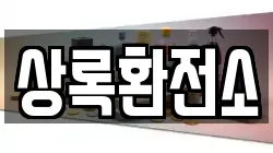 상록환전소