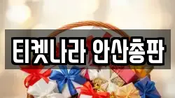 티켓나라 안산총판
