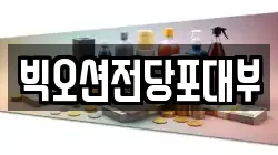 빅오션전당포대부