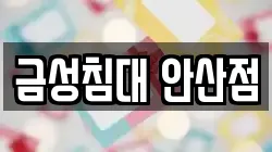 금성침대 안산점