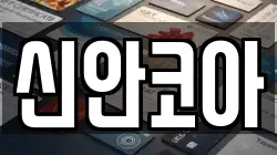 신안코아