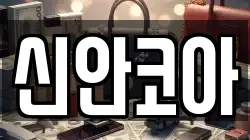 신안코아