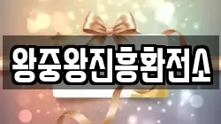 왕중왕진흥환전소