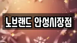 노브랜드 안성시장점