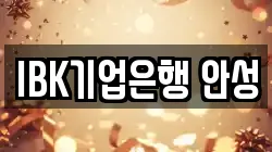 IBK기업은행 안성