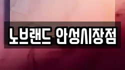 노브랜드 안성시장점