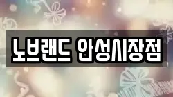 노브랜드 안성시장점