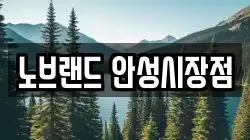 노브랜드 안성시장점