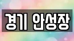 경기 안성장