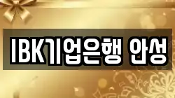 IBK기업은행 안성