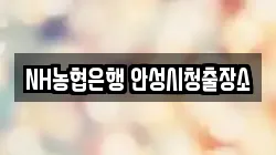 NH농협은행 안성시청출장소