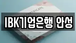 IBK기업은행 안성