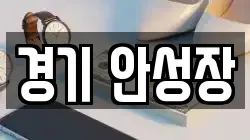 경기 안성장