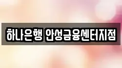 하나은행 안성금융센터지점