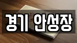 경기 안성장